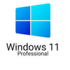 Microsoft Windows 11 Pro Professional <br><br> <br> <br>